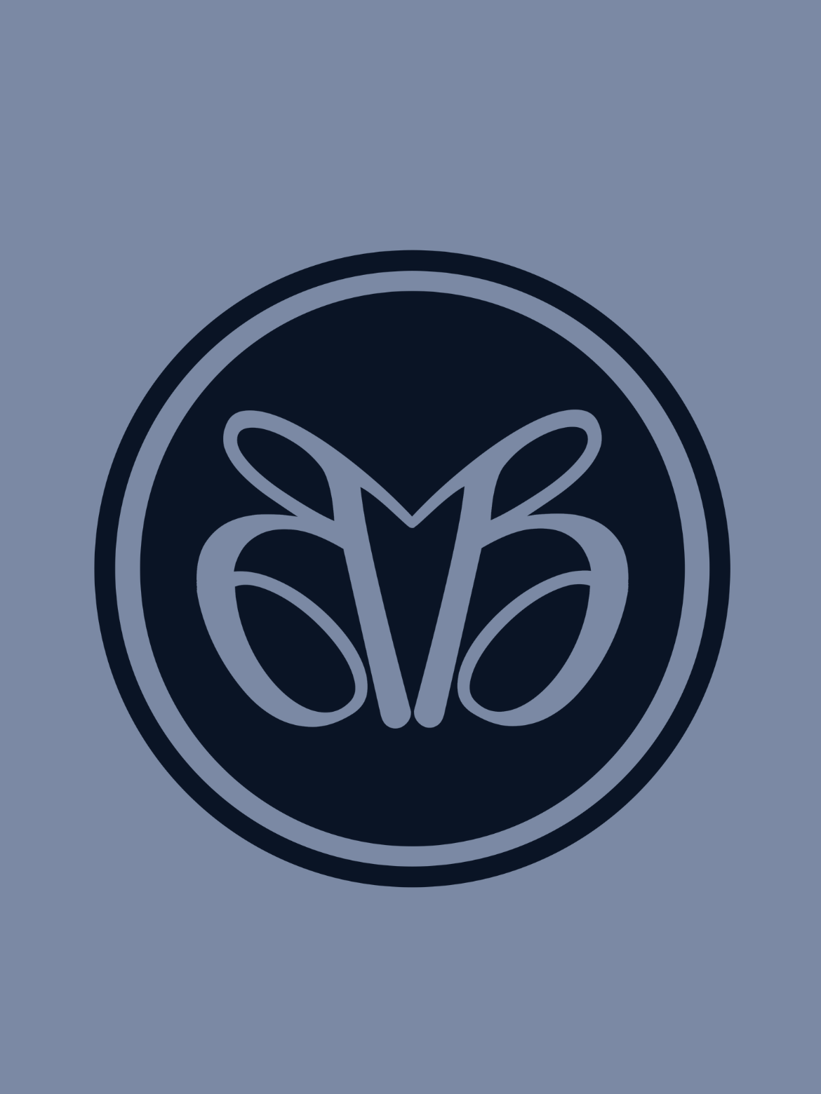 Image hover effect image